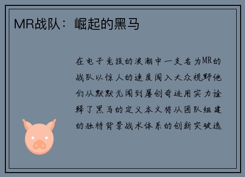 MR战队：崛起的黑马